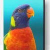 Colorful Parrot Paint By Number