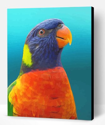 Colorful Parrot Paint By Number