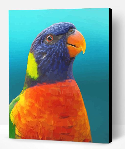 Colorful Parrot Paint By Number