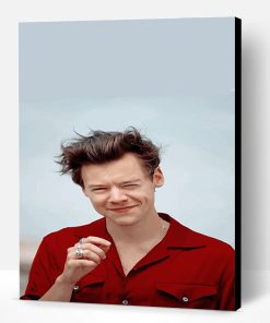 Cute Harry Styles Smiling Paint By Number