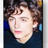 Cute Timothee Chalamet Paint By Number