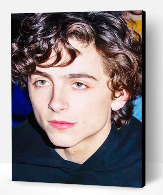 Cute Timothee Chalamet Paint By Number