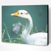 Cute white Duck Paint By Number