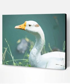Cute white Duck Paint By Number