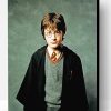 Daniel Radcliffe Harry Potter Paint By Number
