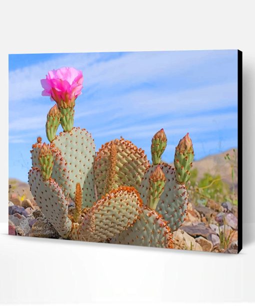 Death Valley Cactus Paint By Number