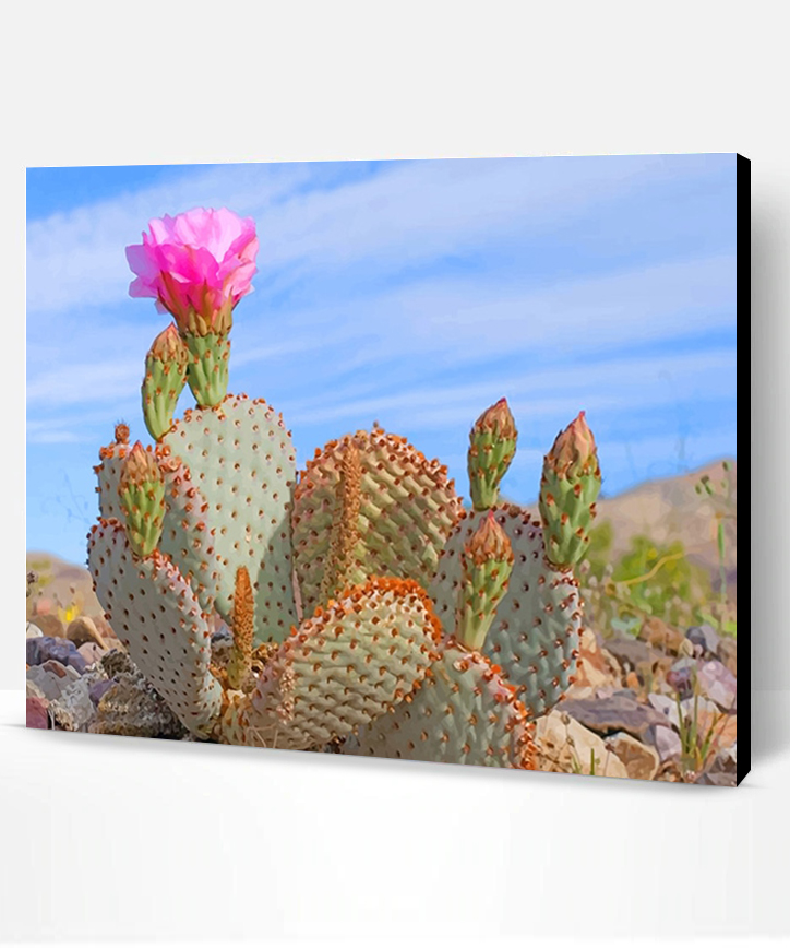 Death Valley Cactus NEW Paint By Numbers - Paint By Numbers PRO