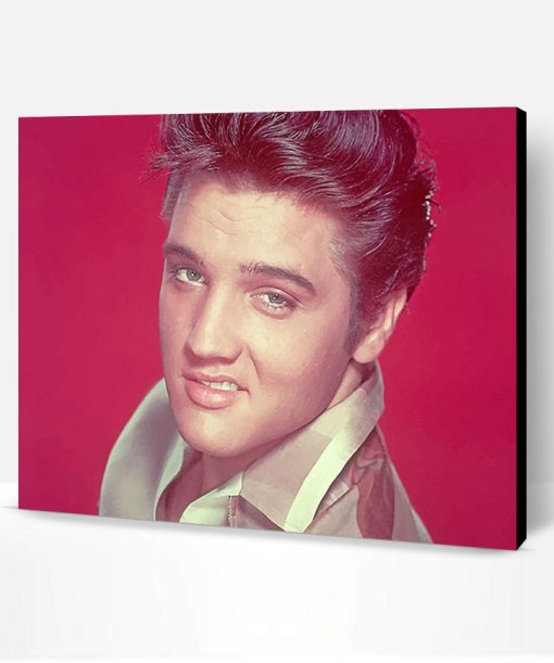 Elvis Presley Smile Paint By Number