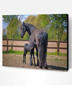 Friesian Horses Paint By Number
