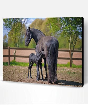 Friesian Horses Paint By Number