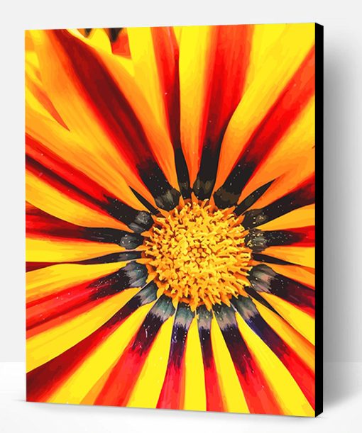 Gazania big kiss yellow details Paint By Number