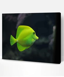 Green Fish Aquarium Paint By Number