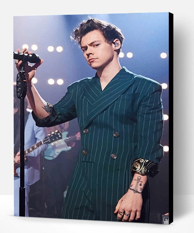 Harry Styles On the stage Paint By Number