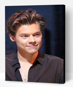 Harry Styles Smile Paint By Number