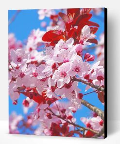 Japanese Cherry Blossom Paint By Number