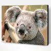 Koala Paint By Number