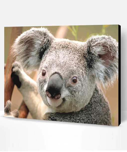 Koala Paint By Number