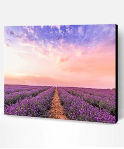 Lavender Field Paint By Number