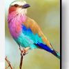 Lilac breasted Roller Paint By Number