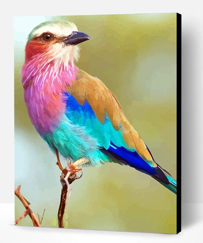 Lilac breasted Roller Paint By Number