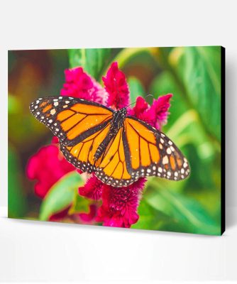 Monarch Butterfly Paint By Numbers