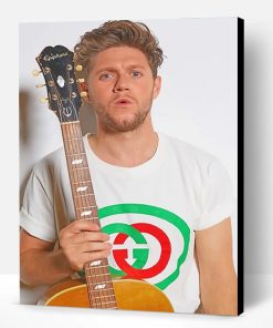 Niall Horan Guitar Photoshoot Paint By Number