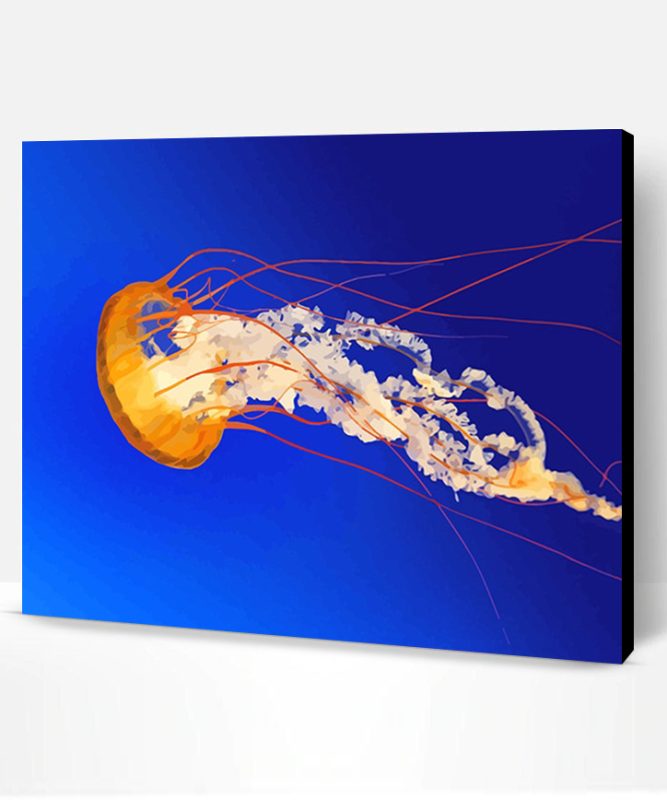 Orange Jellyfish Paint By Number