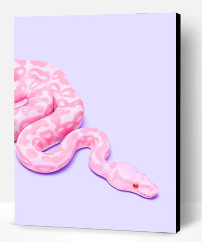 Pink Snake Paint By Number