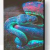 Rainbow Shimmering Snake Paint By Number