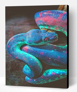 Rainbow Shimmering Snake Paint By Number