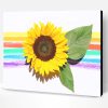 Rainbow Sunflower Paint By Number