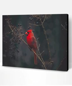 Red Cardinal Bird Paint By Number