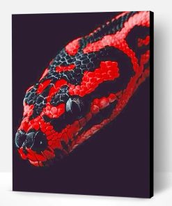 Red And Black Python Paint By Number