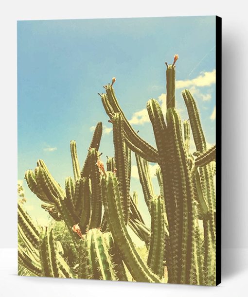 San Pedro Cactus Paint By Number