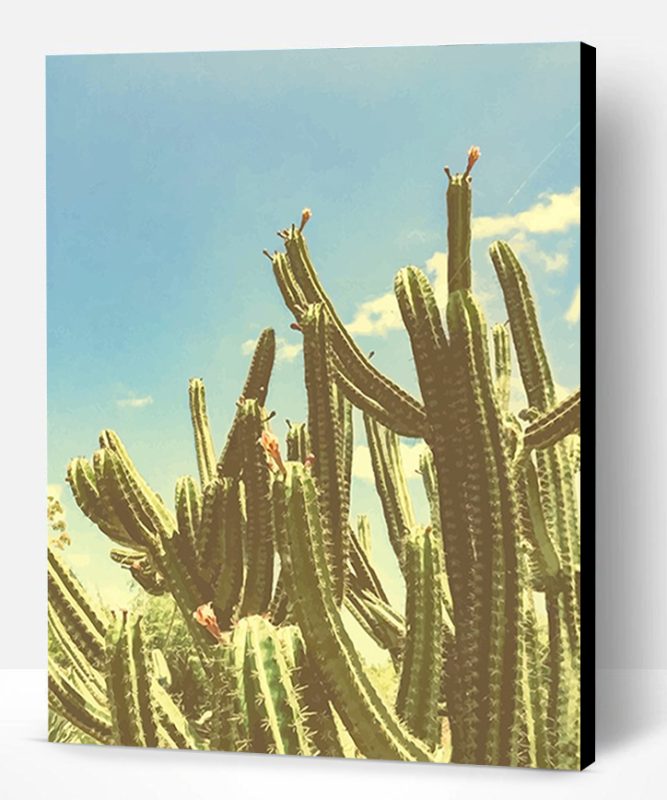San Pedro Cactus Paint By Number