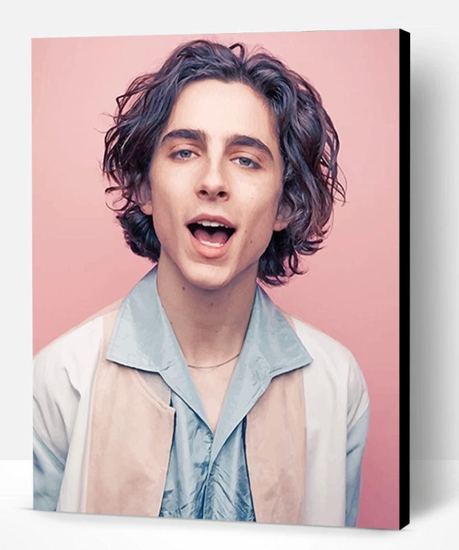 Timothee Chalamet Photoshoot Paint By Number