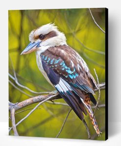 Kookaburra Bird Paint By Number