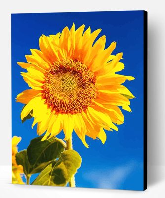 Yellow Sunflower Paint By Number