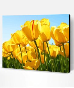 Yellow Tulip Flower Paint By Number