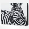 Zebra Black And White Paint By Number
