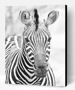 ZebraBlack and white Paint By Number