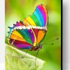 Beautiful Rainbow Butterfly Paint By Number