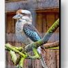 Blue Winged Kookaburra Paint By Number