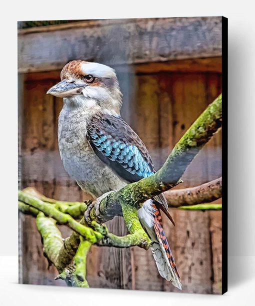 Blue Winged Kookaburra Paint By Number