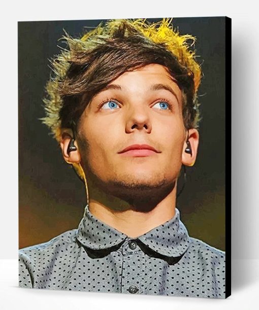 Louis Tomlinson Paint By Number