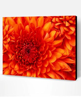 Orange Flower Paint By Number