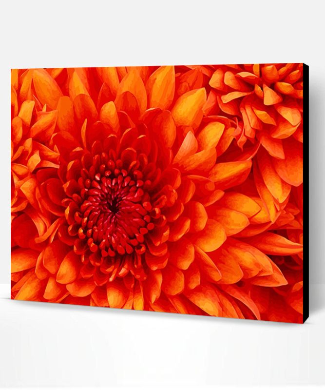 Orange Flower Paint By Number