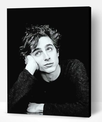 Timothée Black And White Portrait Paint By Number