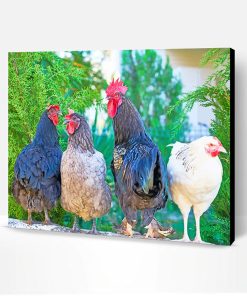 Four Assorted Color Roosters Paint By Number