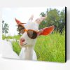 Goat Sunglasses Paint By Number